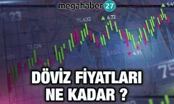 21 Ağustos 2023 Türkiye'de döviz fiyatları!