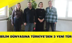 Bilim Dünyasına Türkiye’den 3 Yeni Tür