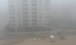 Gaziantep yoğun sis etkili