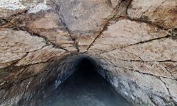 Türkiye'de Bir Örneği Daha Yok