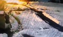 Kurt Sürüsünü Kürekle Kovalayan Vatandaş Kamerada