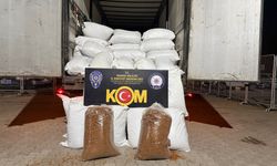 3 ton kaçak tütün ele geçirildi