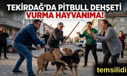 PİTBULL KATLİAMI: "VURMA HAYVANIMA" DİYE BAĞIRDI!