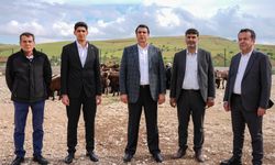 BAŞKAN YILMAZ, KURBANLIK FİYATLARINI AÇIKLADI