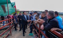 Şehitkamil’de Kurban Bayramı hazırlıkları tamamlandı