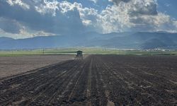 Gaziantep’te Karpuz Çekirdeği Ekimleri Başladı