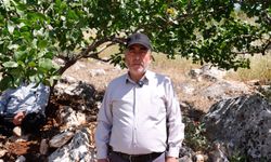 ŞEHİTKAMİL’DE ARAZİ YOLLARI AÇMA ÇALIŞMALARI SÜRÜYOR