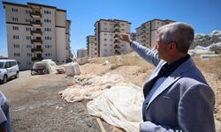 ŞAHİNBEY'DE 3 BİN 414 SOSYAL KONUT HIZLA YÜKSELİYOR