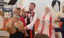 Düğünde altın değil keçi takıldı