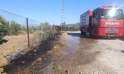 Gaziantep'te zeytinlik alanda yangın