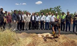Yoğun yağış döneminde tahrip olan yollar asfaltlandı