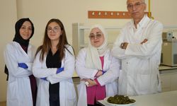Afet dönemlerine özel kremalı bisküvi geliştirildi