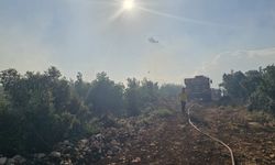 Gaziantep'te çıkan orman yangını havadan ve karadan müdahaleyle söndürüldü