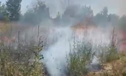 Otluk alanda çıkan yangın kuş yuvalarına zarar verdi