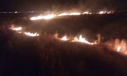 Gaziantep’te arazi yangını söndürüldü