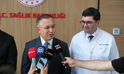Vali Çeber: "Bıçaklanan Yeni Parti Milletvekili Meriç'in sağlık durumu iyi"