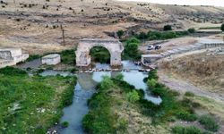Sıtma pınar çayında bakım talebi