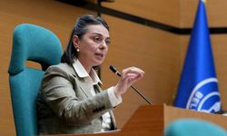 Sinem Dedetaş'ın savcılık ifadesi ortaya çıktı