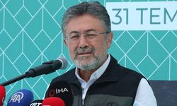 Orman Yangınlarında Son Bilanço Açıklandı