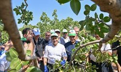 Gaziantep'te Fıstık Hasadı Öncesi Güvenlik Seferberliği