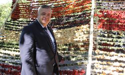 Gaziantep'te kurutmalık sezonu ekonomiye değer katıyor