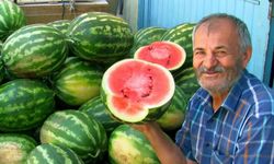 Gaziantep’te 5 Bin Dönümde Güz Karpuzu Hasadı Sürüyor