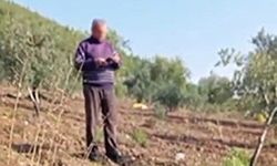 Gaziantep'te amca-yeğenin arazi kavgası kanlı bitti