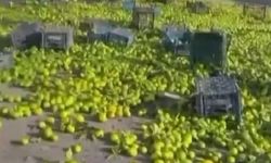 Gaziantep'te mandalina yüklü kamyon devrildi