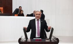 Yeni Partili Meriç’ten Basın Özgürlüğü Çağrısı