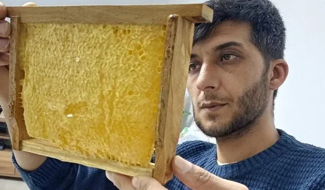 Araban'da üretilen bala yoğun talep