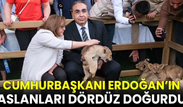 Cumhurbaşkanı Erdoğan’a dördüz sürprizi