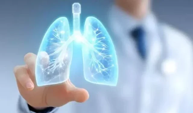 Eczaneye Değil Mutfağa Bakın: Akciğerleri Adeta Filtre Gibi Arındıran Doğal Besinler