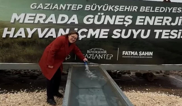 Gaziantep’te Hayvancılık İçin Su Atağı