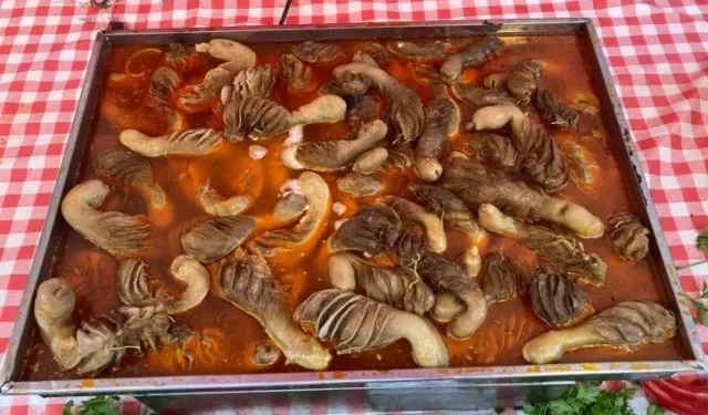 Hatay Tanıtım Günleri’nde renkli görüntüler oluştu