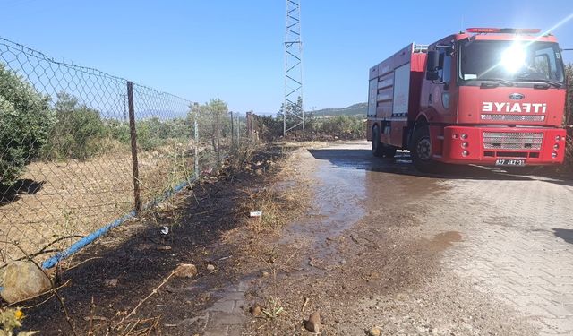 Gaziantep'te zeytinlik alanda yangın