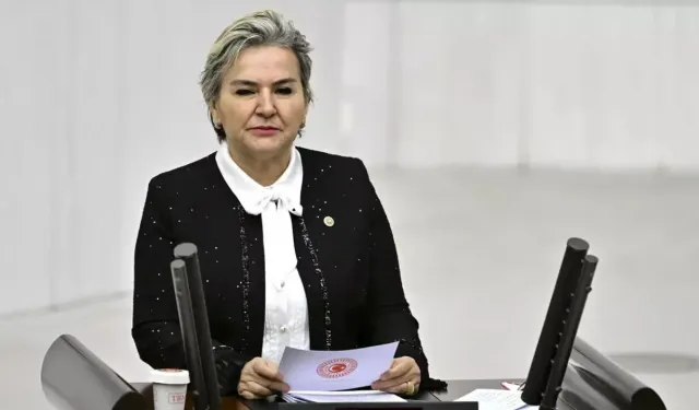 CHP'den Ayrılan Nimet Özdemir'in AK Parti'ye Katılacağı İddia Edildi