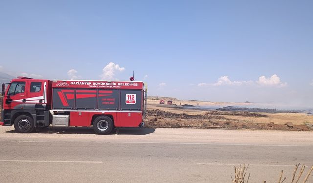 Gaziantep’te anız yangını