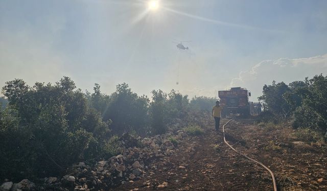 Gaziantep'te çıkan orman yangını havadan ve karadan müdahaleyle söndürüldü