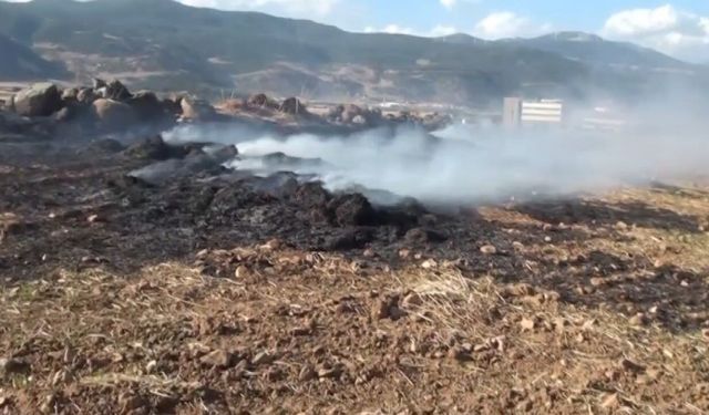 İslahiye'de anız yangını söndürüldü