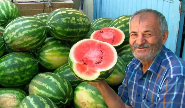Gaziantep’te 5 Bin Dönümde Güz Karpuzu Hasadı Sürüyor