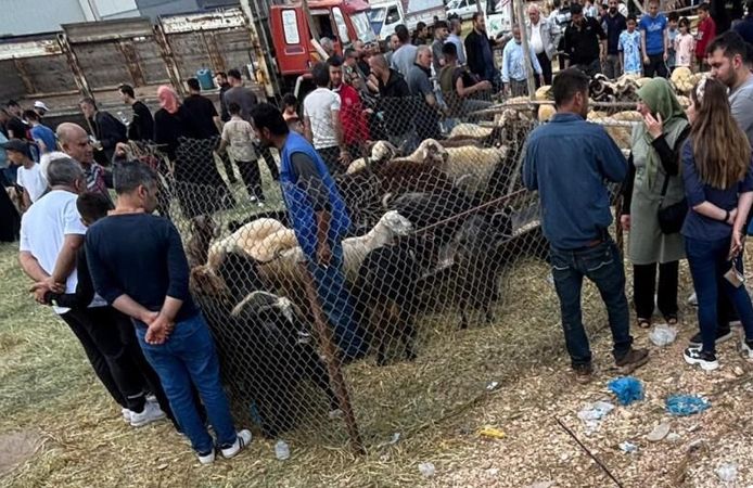 Arefe günü Gaziantep'teki kurban pazarlarında yoğunluk had safhaya çıktı