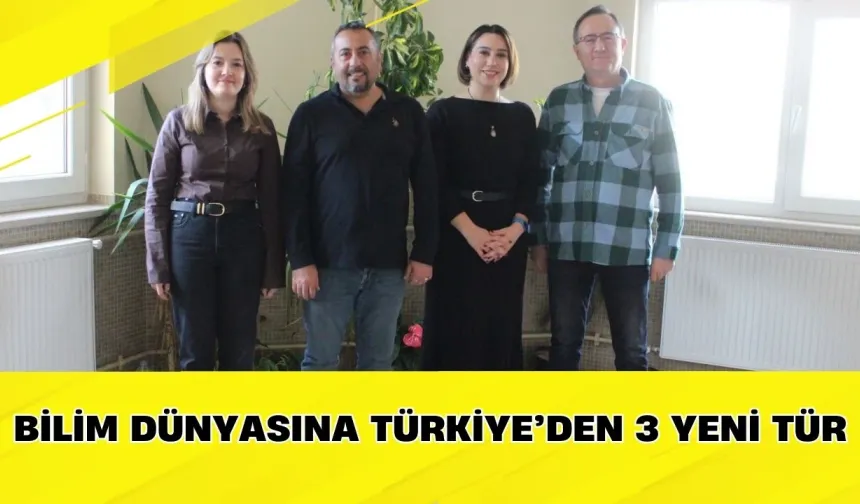 Bilim Dünyasına Türkiye’den 3 Yeni Tür