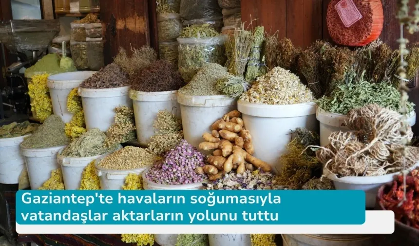 Gaziantep'te havaların soğumasıyla vatandaşlar aktarların yolunu tuttu