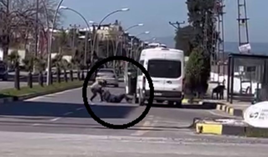 Yere yatırdığı minibüs şoförünü defalarca yumrukladı