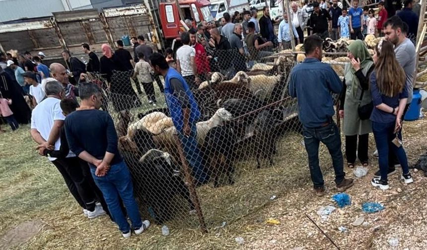 Arefe günü Gaziantep'teki kurban pazarlarında yoğunluk had safhaya çıktı