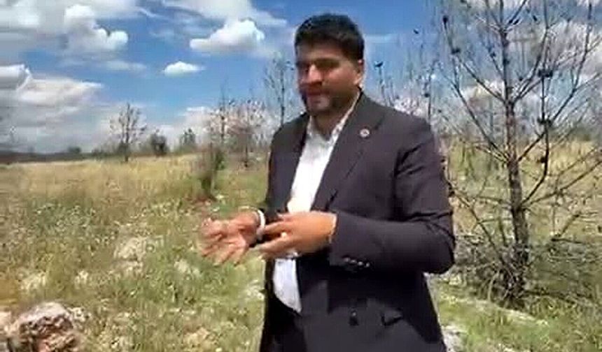 Vatandaşlardan ormanlık alana arazi yolu talebi