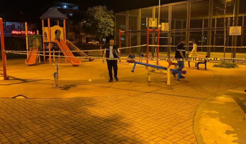 Parktaki gençlere pompalı tüfekle saldırdı