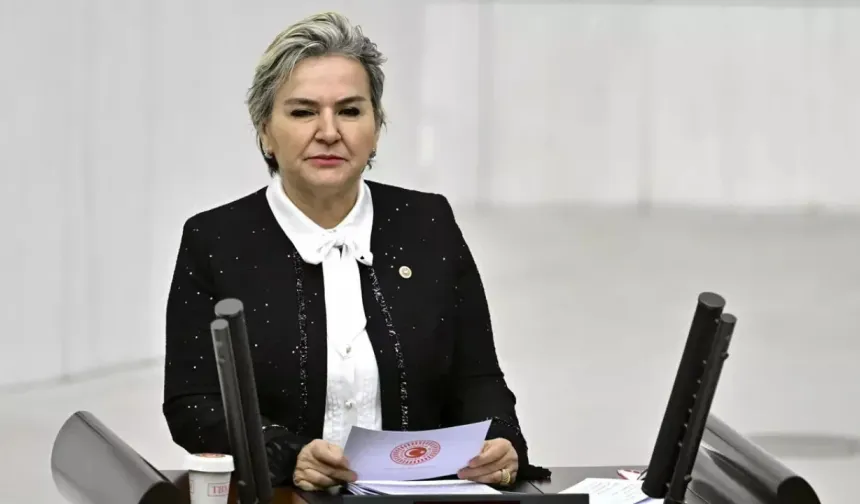 CHP'den Ayrılan Nimet Özdemir'in AK Parti'ye Katılacağı İddia Edildi