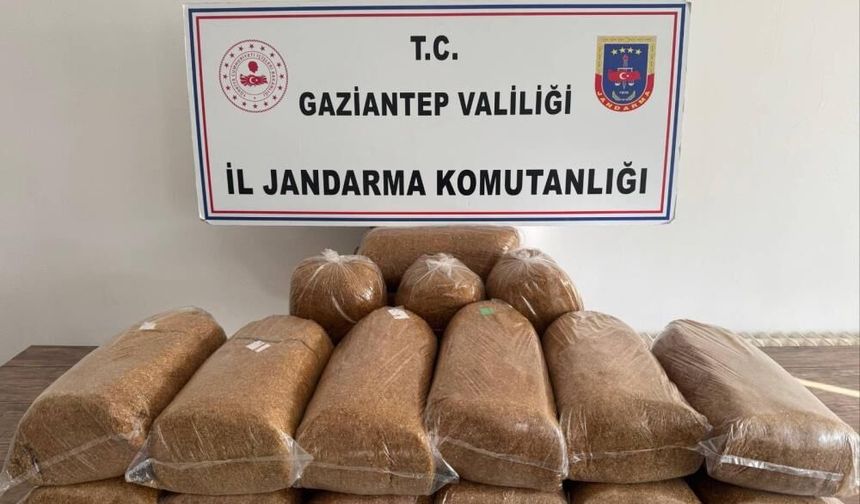 Gaziantep’te 353 aranan şahıs yakalandı
