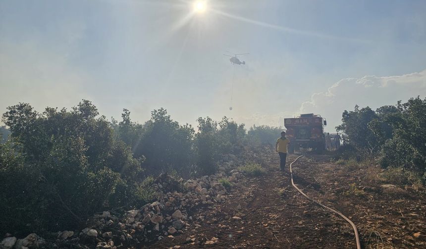 Gaziantep'te çıkan orman yangını havadan ve karadan müdahaleyle söndürüldü